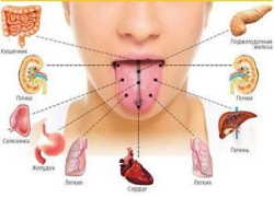 Диагностика здоровья по языку